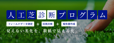 人工芝診断プログラム