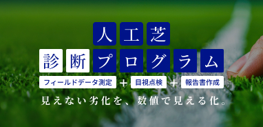 人工芝診断プログラム