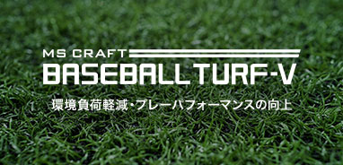 BASEBALL TURF