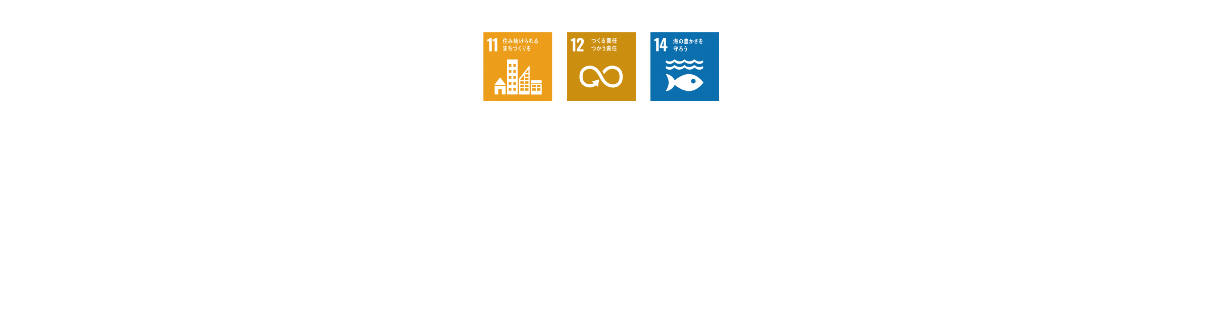 私たちは「持続可能な開発目標（SDGs）」の実現に向けてスポーツフィールドの分野でも取り組みを進めています。