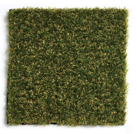 Re Green Grass Exterior