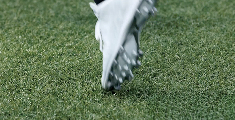 Sports field grass