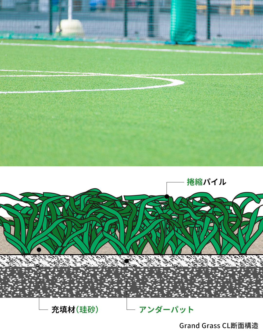 ゴムチップレス人工芝 Grand Grass CL断面