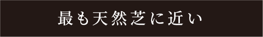 最も天然芝に近い